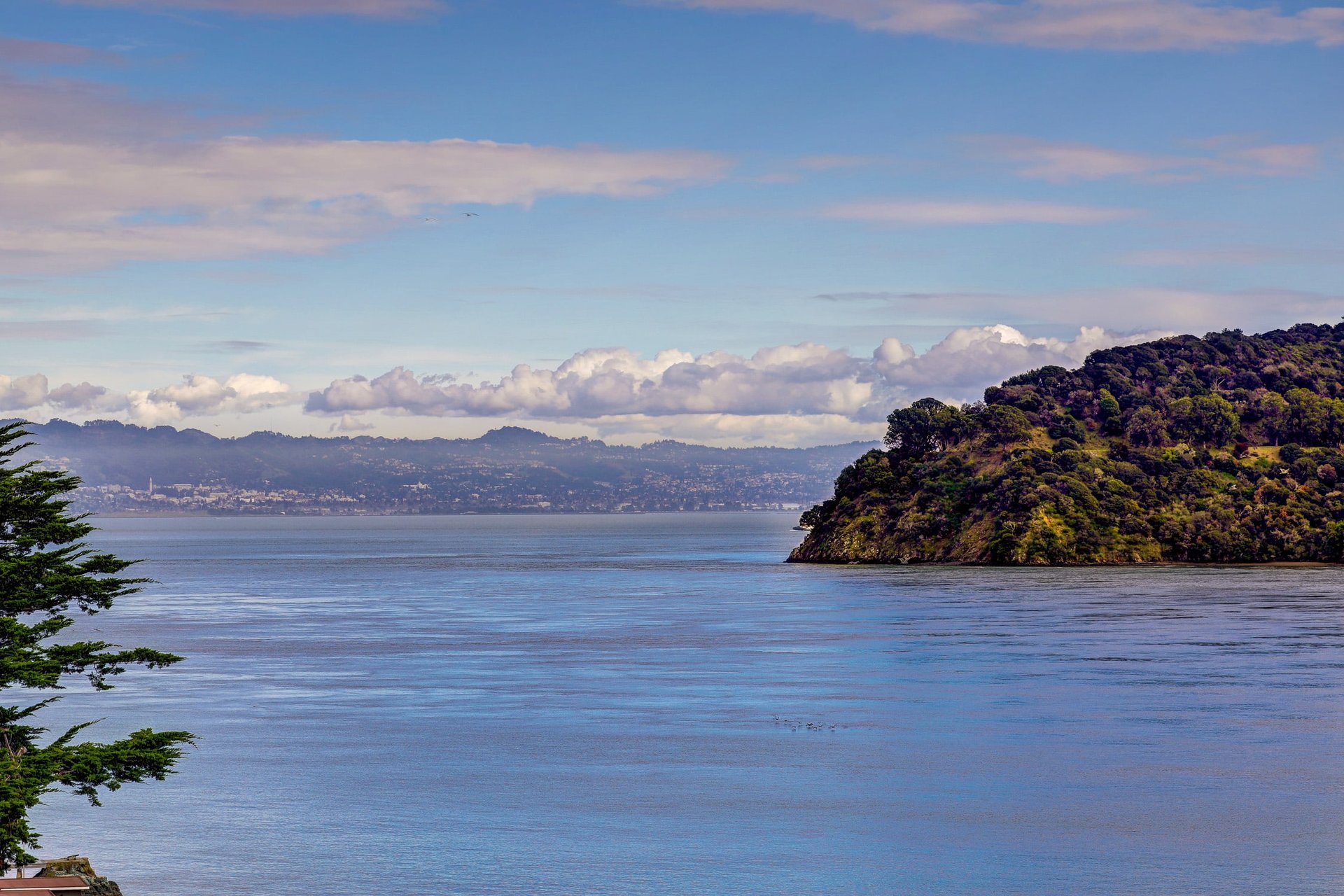 Picturesque Views of San Francisco Bay & Angel Island