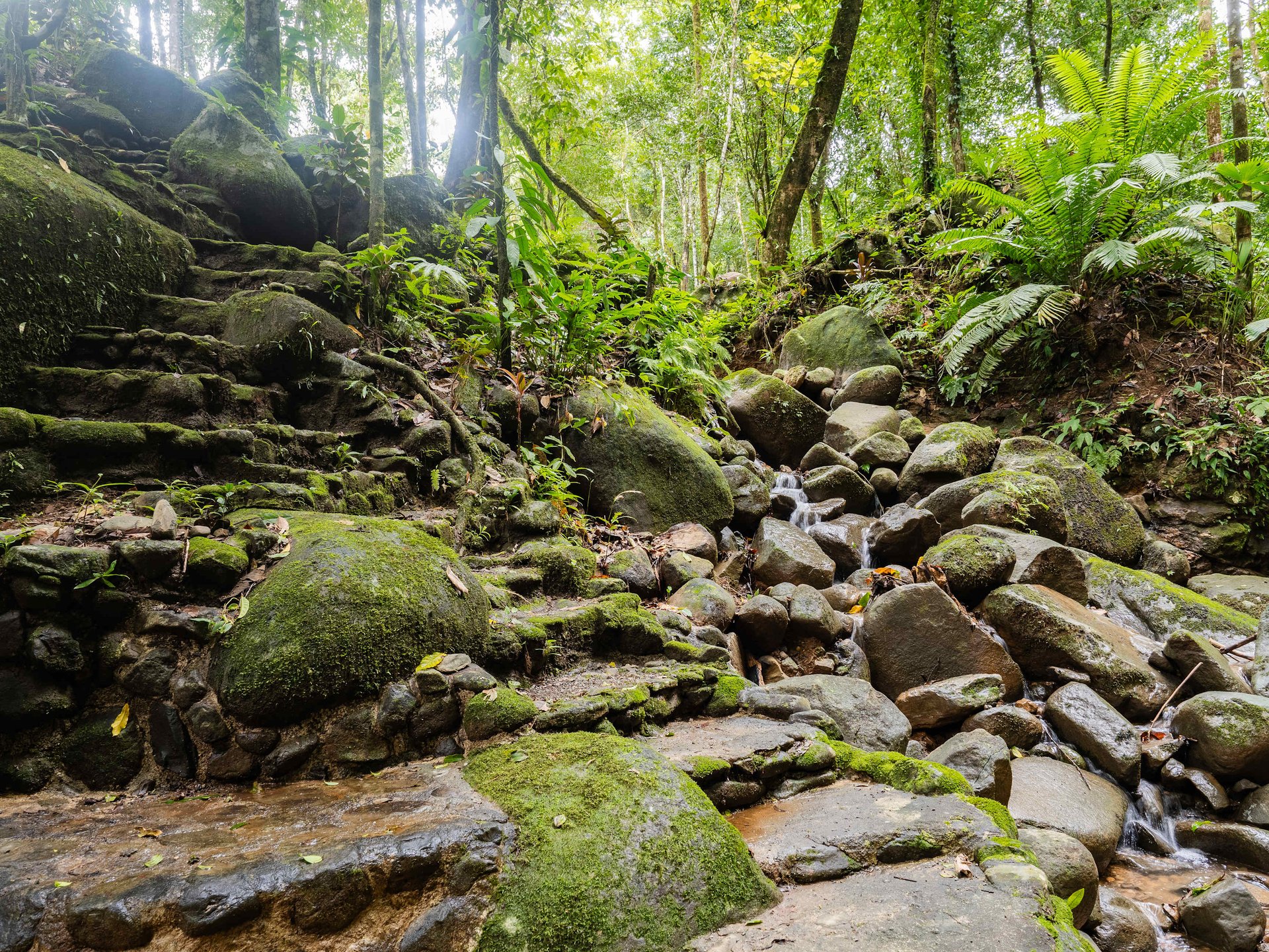 2-Bedroom Jungle Home with River, Waterfall & Pool on 3.8 Acres in Ojochal, Costa Rica