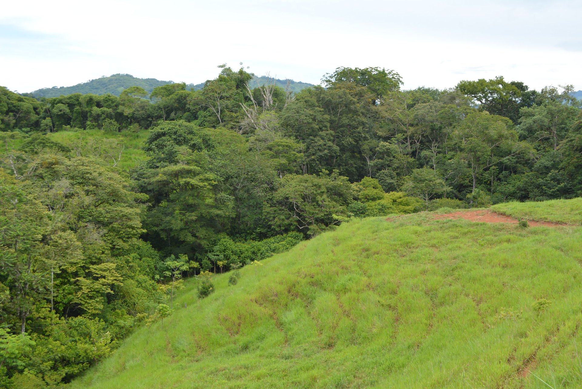 GORGEOUS 35 ACRES WITH WATERFALL AND 360 VIEWS 