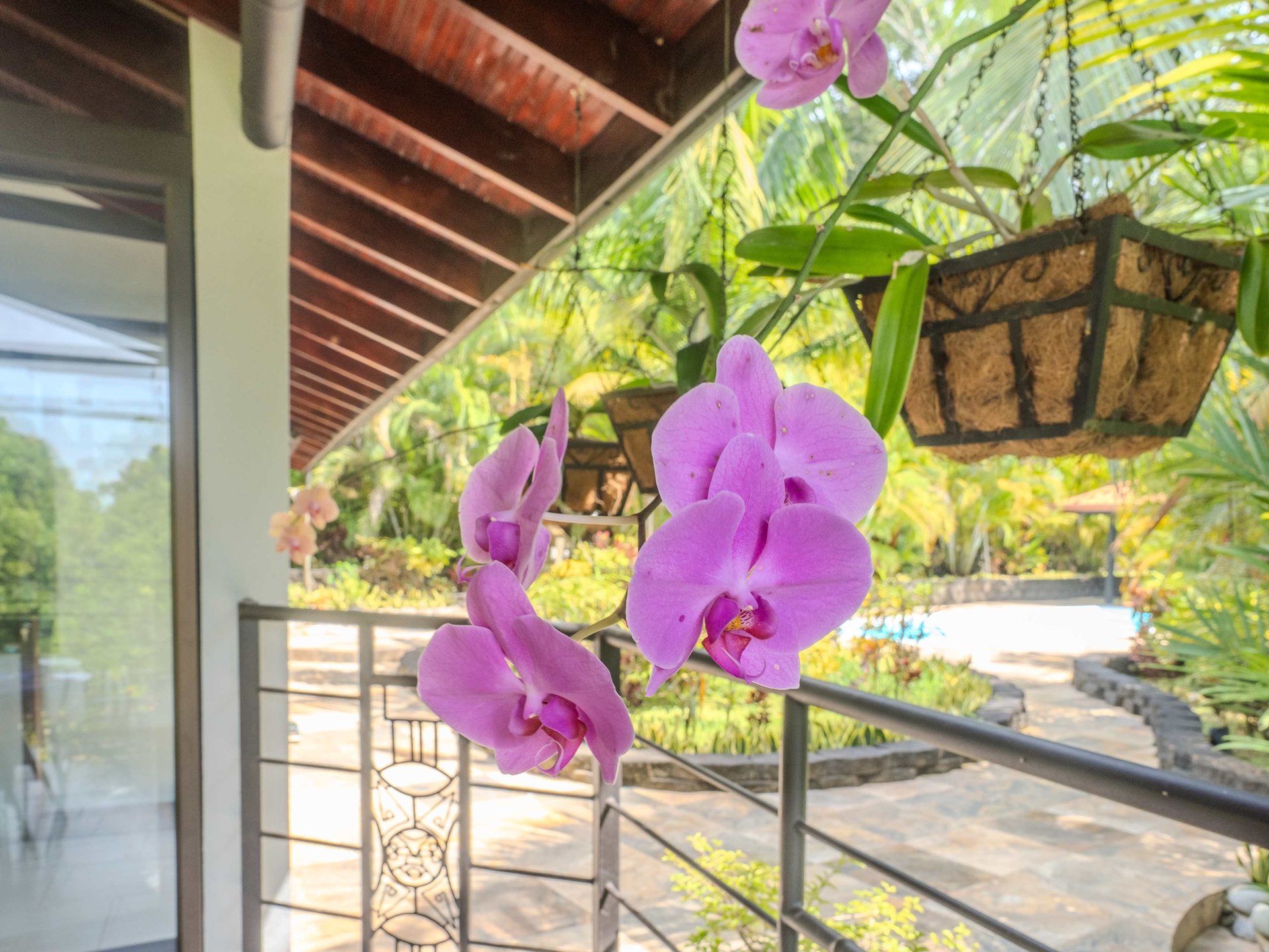 2-Bedroom Jungle Home with River, Waterfall & Pool on 3.8 Acres in Ojochal, Costa Rica