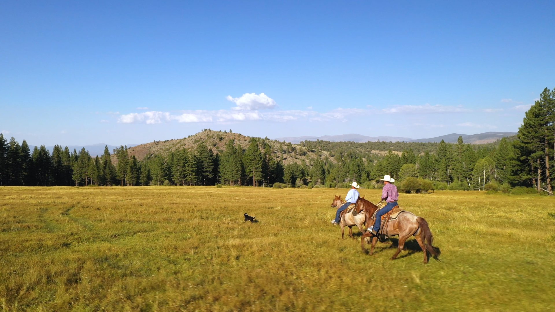 Randall Springs Ranch