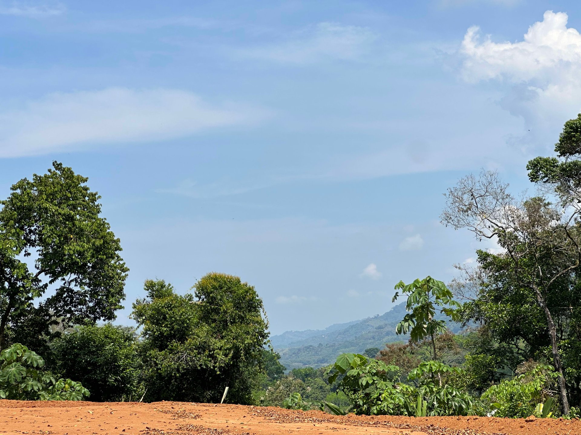 Ocean View Building Lot in Prestigious Gated Community