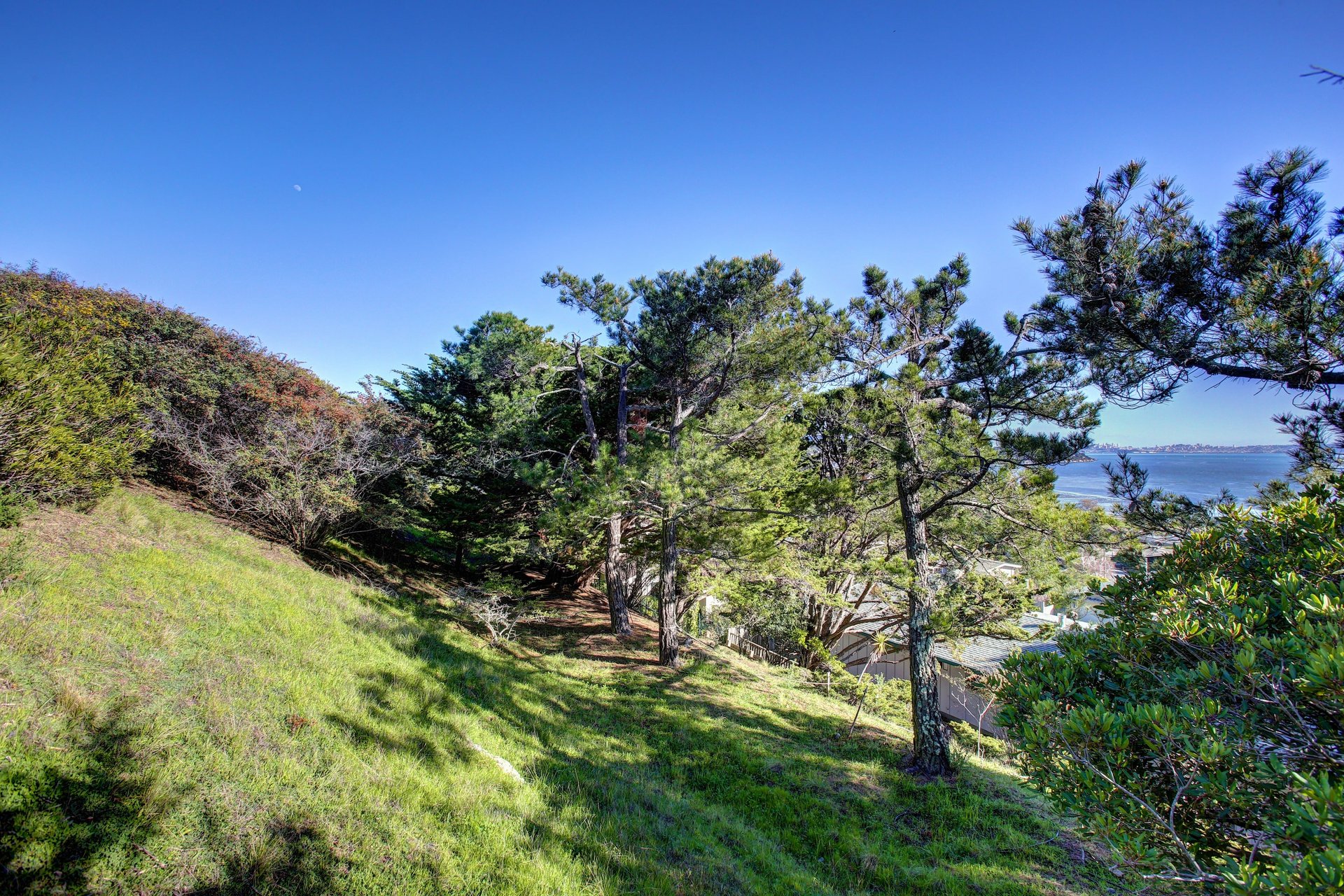 41 Reed Ranch Rd