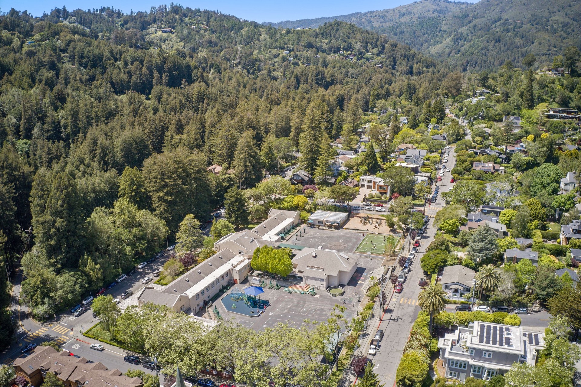 Downtown Mill Valley Contemporary Masterpiece
