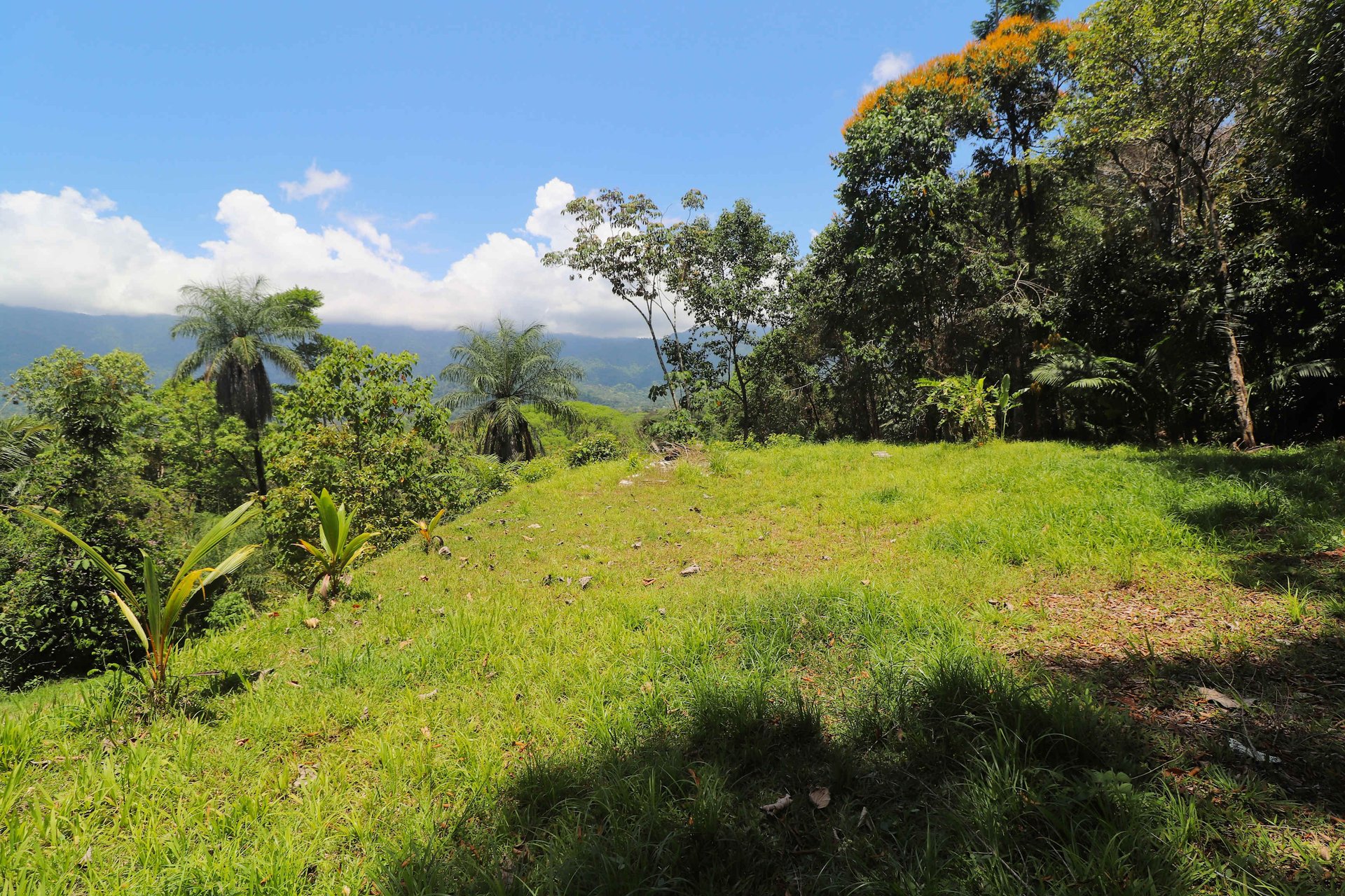 Over One Acre Attractive Lot on the Popular PEREZOSO Road.