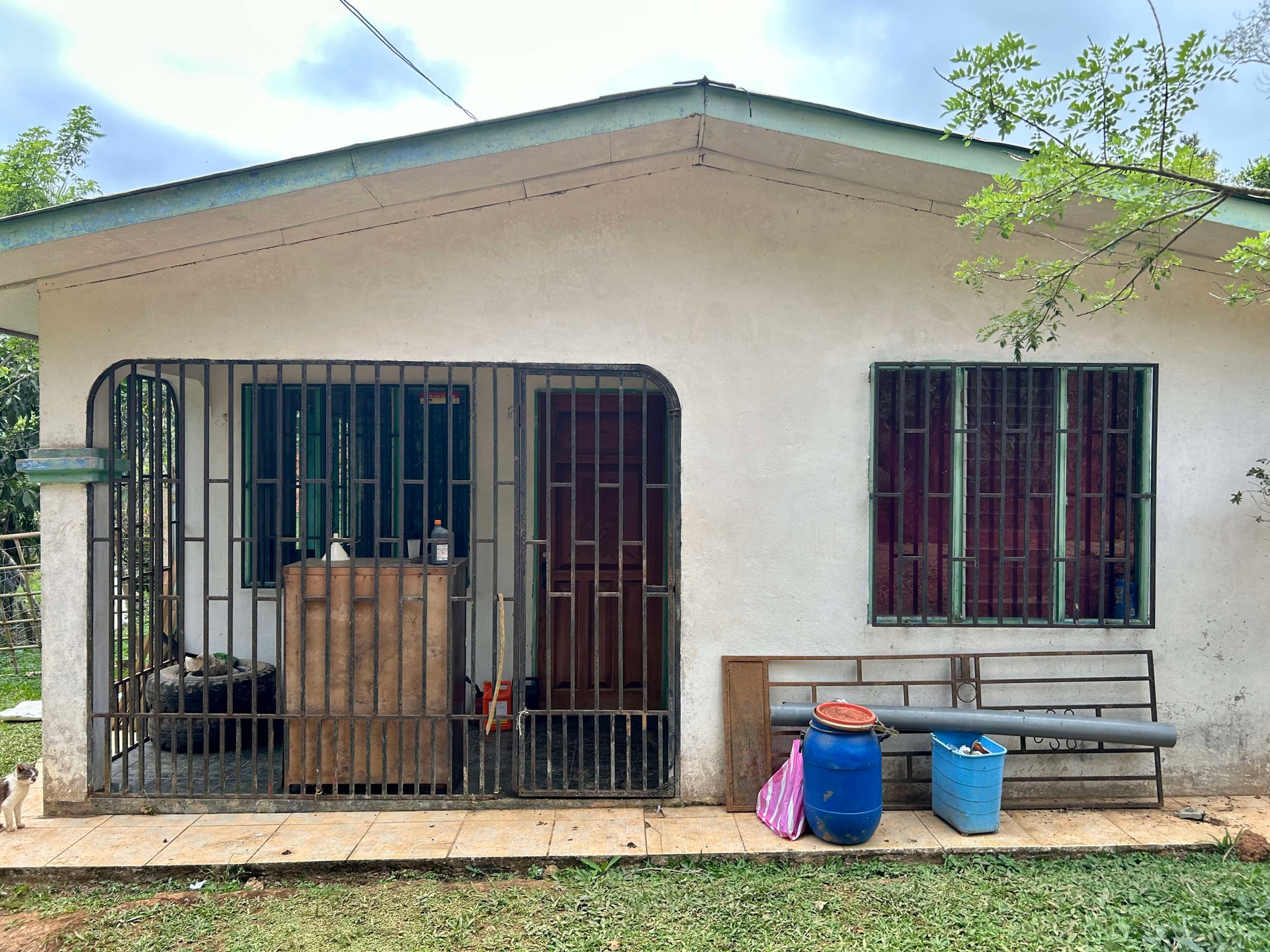 49 Acres Development Farm in San Luis with two Existing Homes 