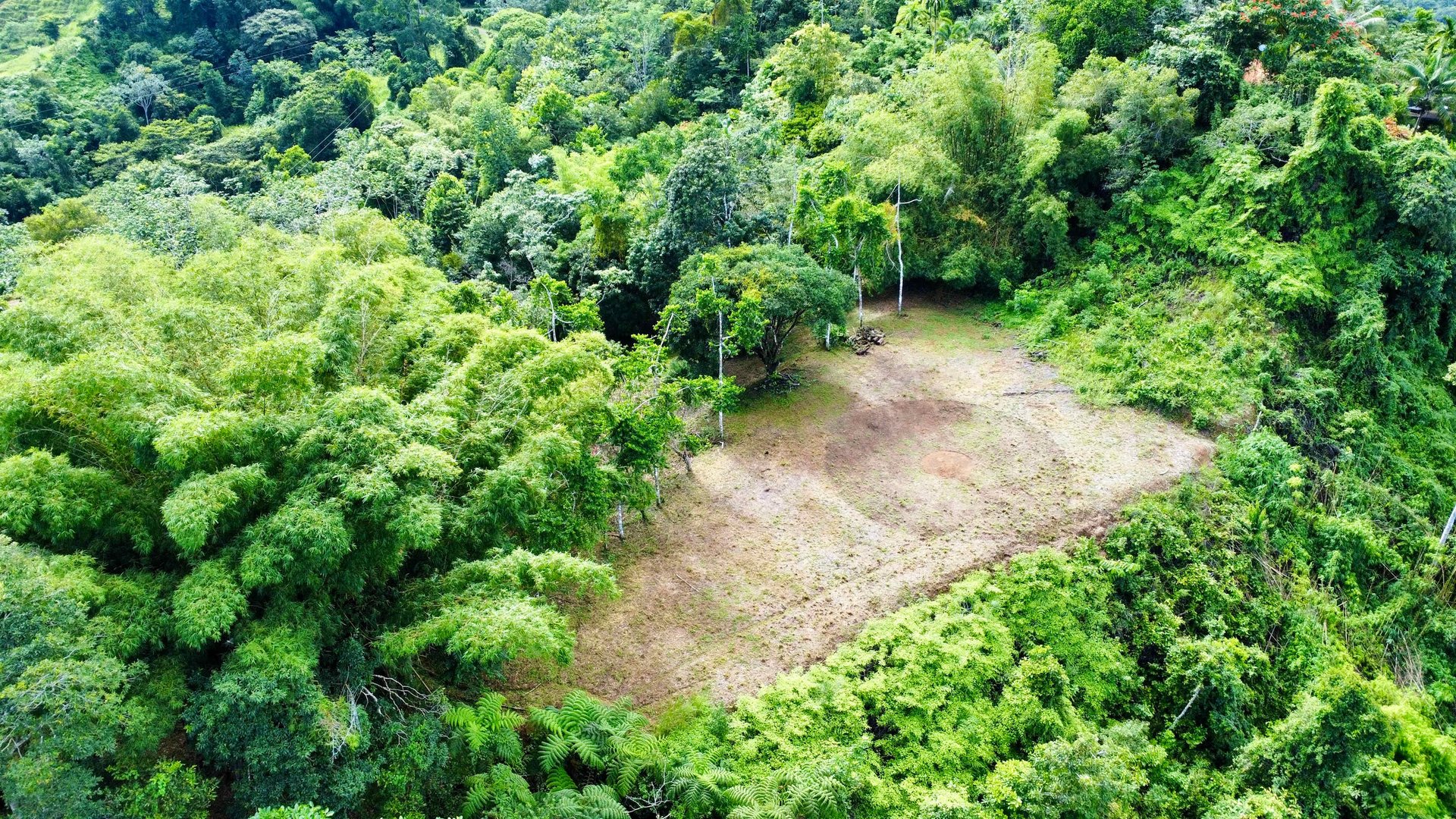 Breathtaking Mountain, River, and Ocean Views in Ideal Climate – 20 Minutes from the Beach