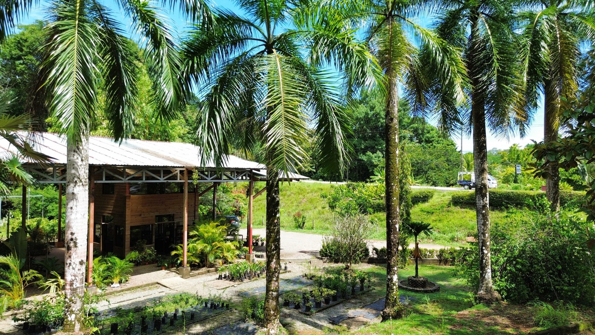 "Commercial Gem at Ojochal"