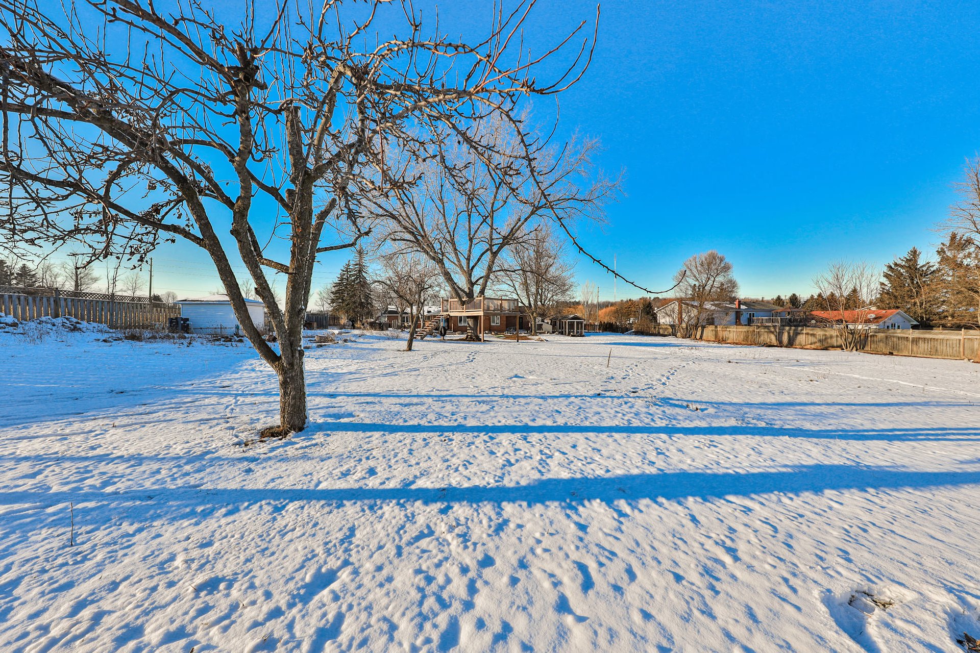11820 Side Road 5