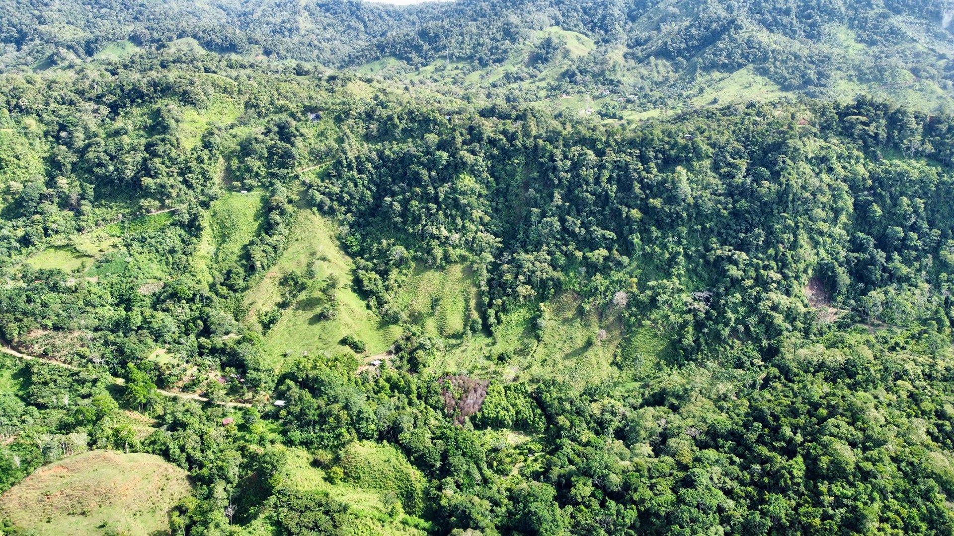 FIRE SALE!! Ocean View Farm in San Luis de Morete, Over 23 Acres
