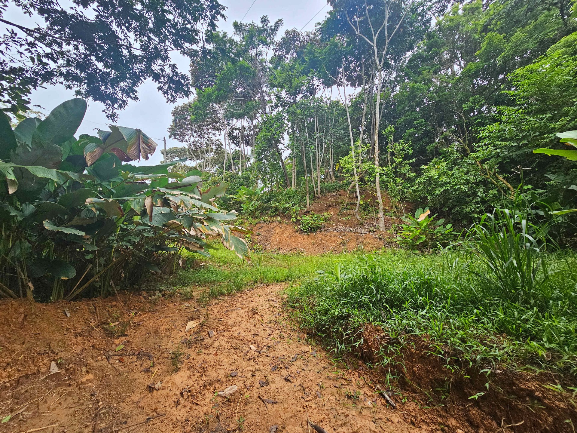 Discover Your Dream in Uvita's Prime Real Estate