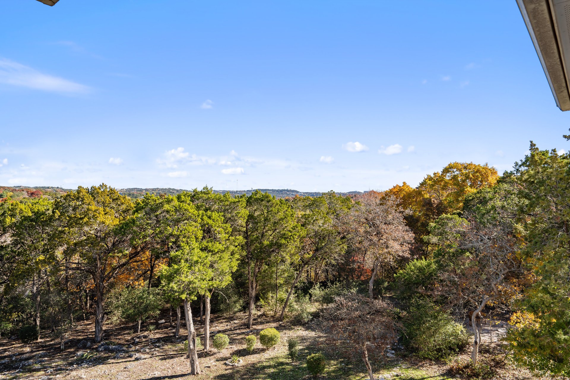 Barton Creek