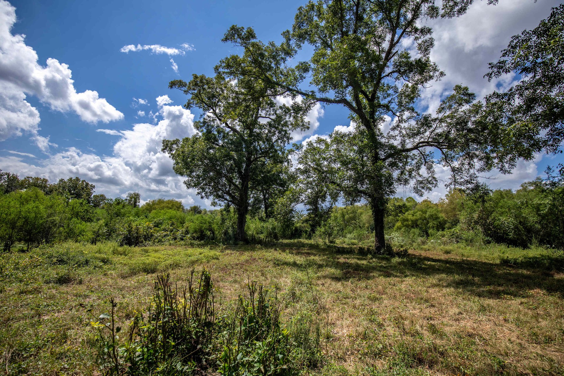 Lovers Lane River Ranch | 140± Acres | DeWitt County