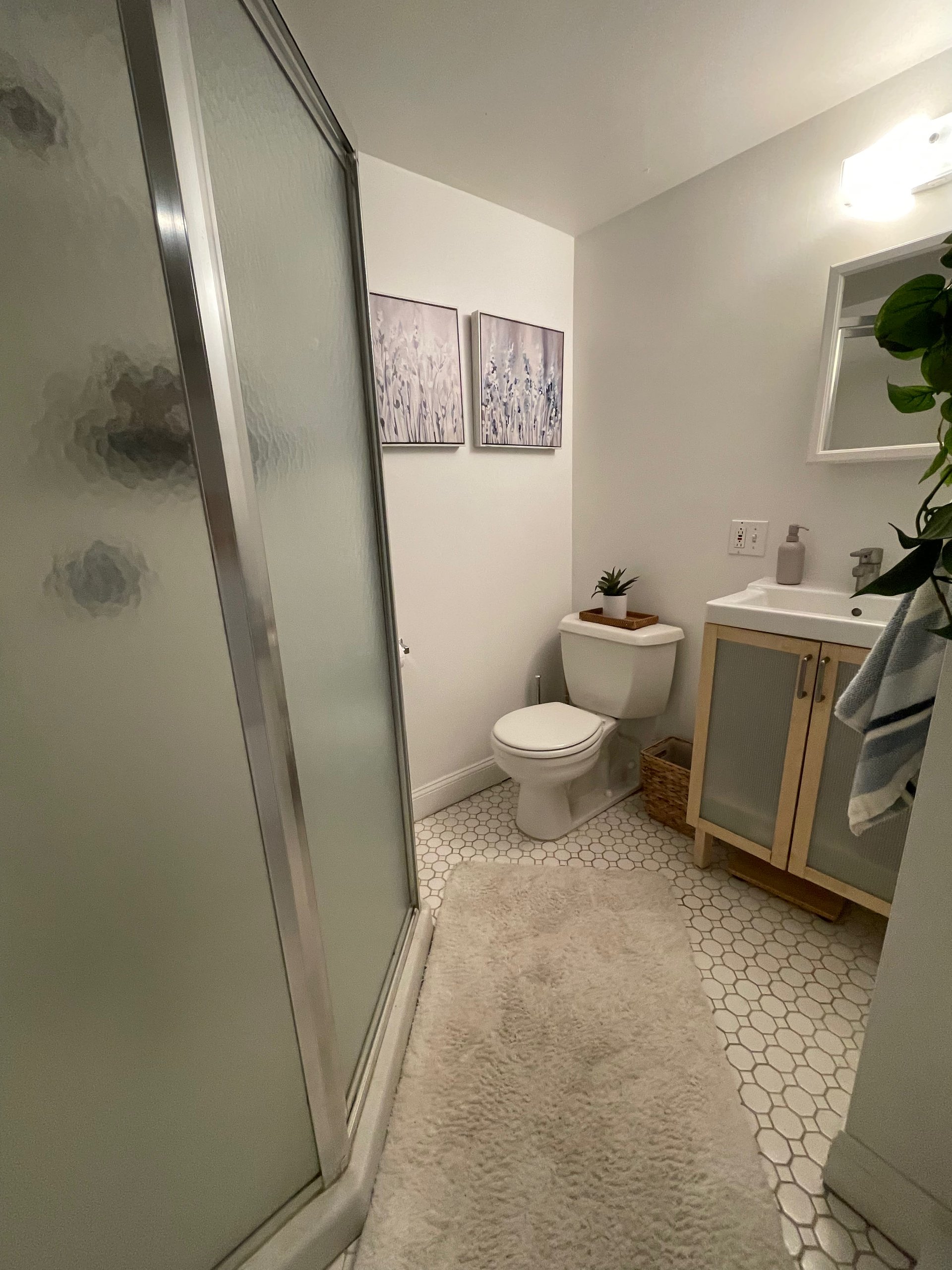 JULY - Appleton Street 2 bed 2 bath w. Private Patio & Laundry - Pets Negotiable!  HEAT AND HW incl! 