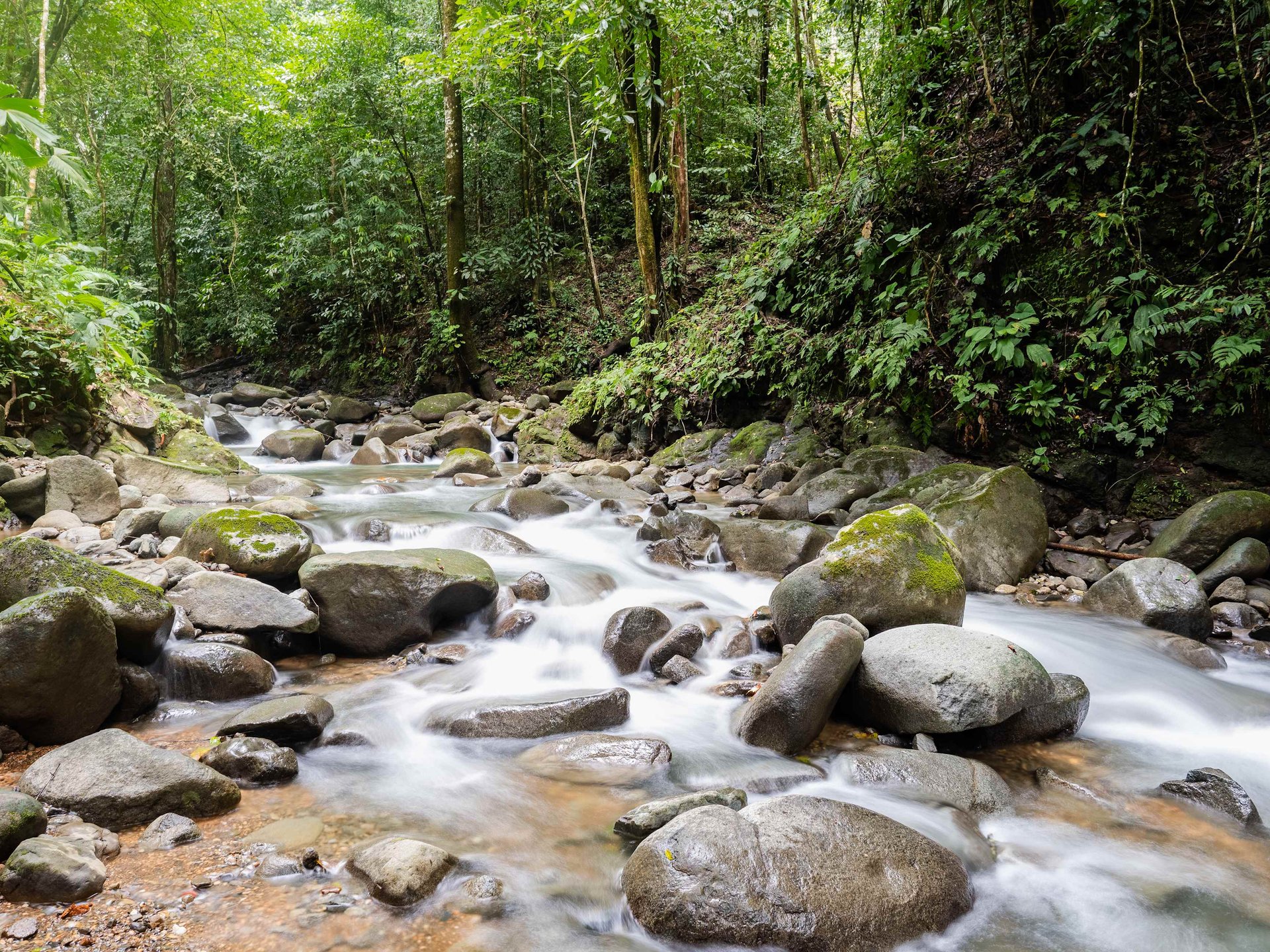 2-Bedroom Jungle Home with River, Waterfall & Pool on 3.8 Acres in Ojochal, Costa Rica