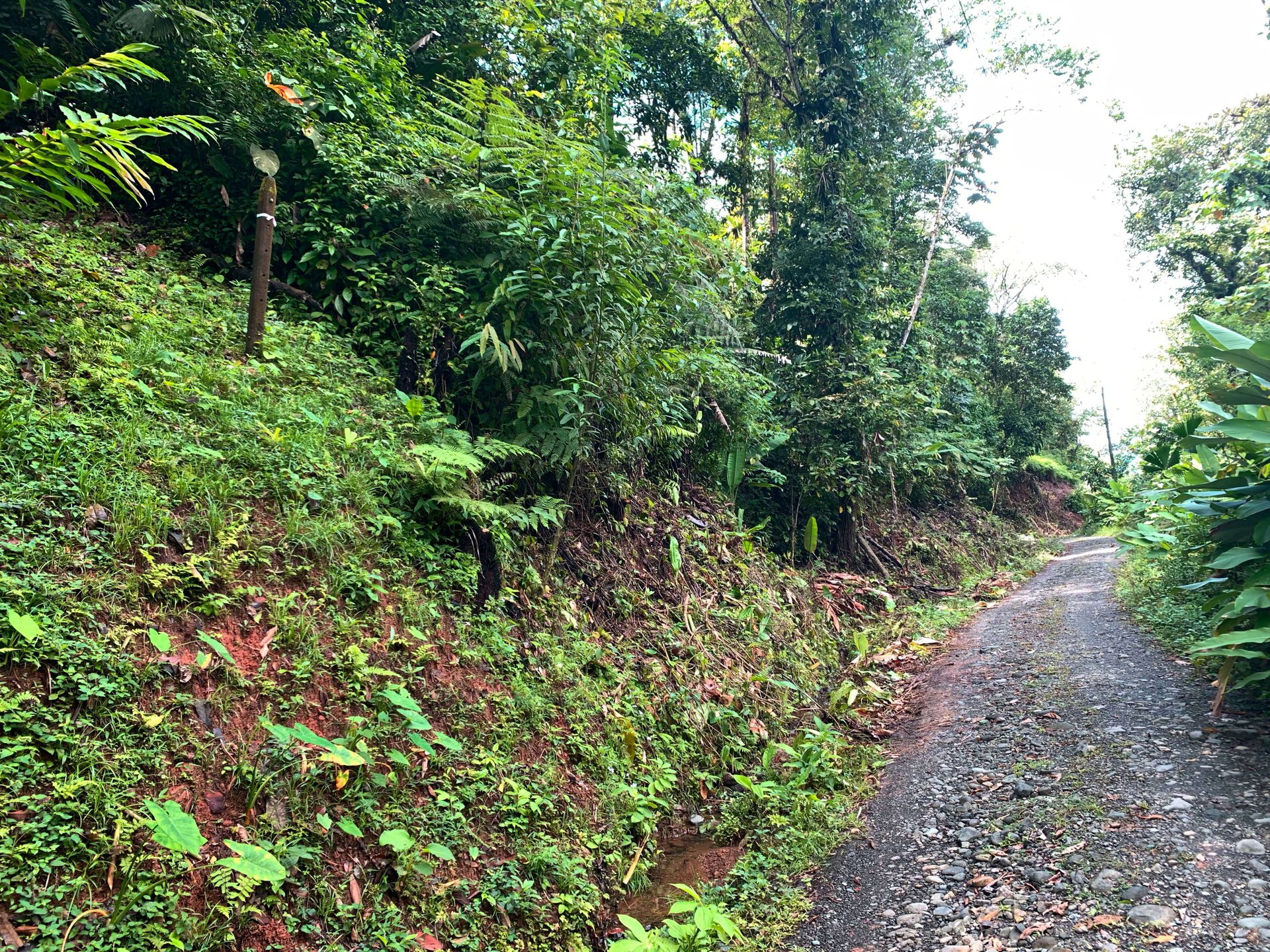 Mountain land with ocean view of Manuel Antonio/Quepos Quepos Puntarenas