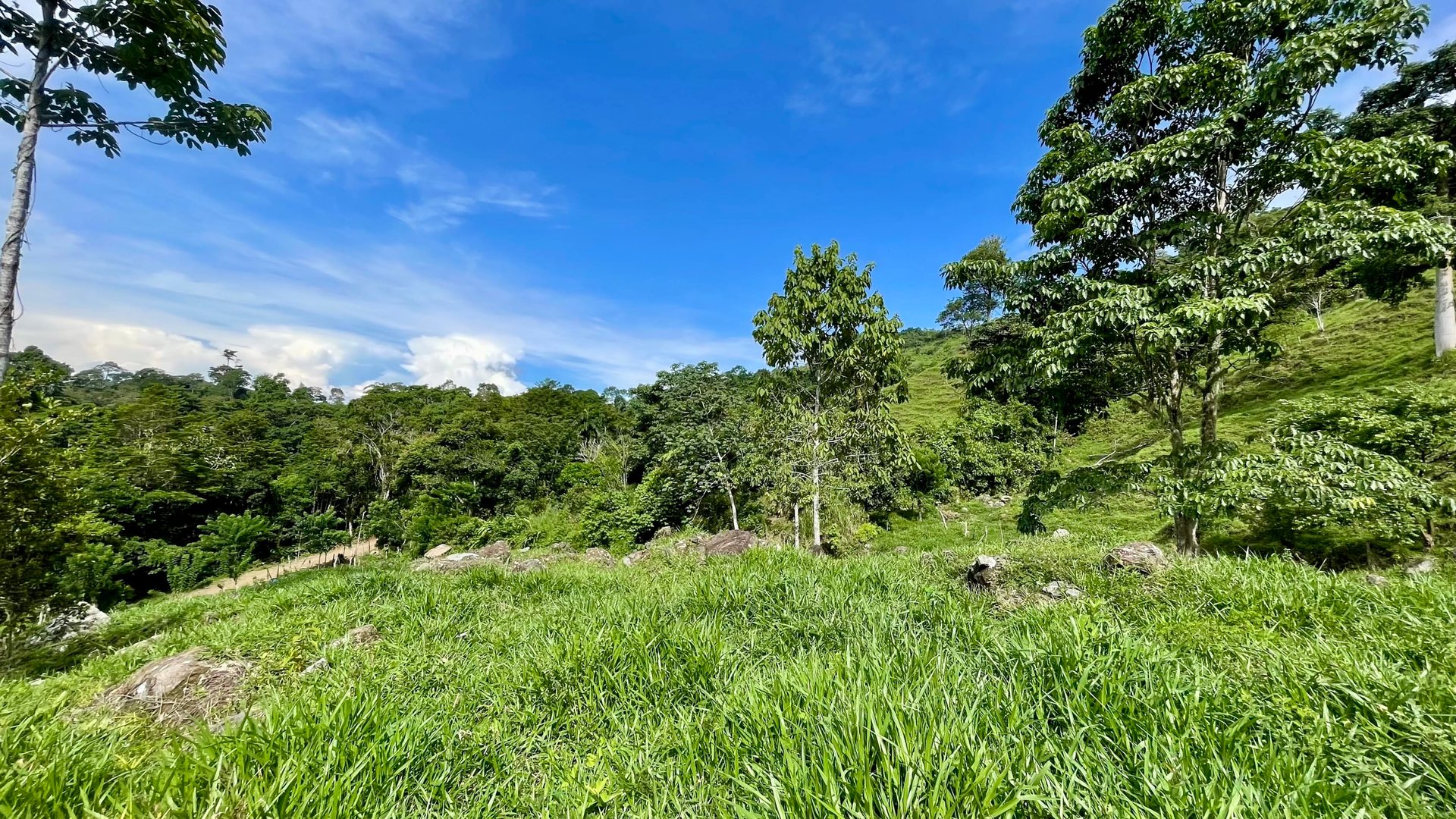 FIRE SALE!! Ocean View Farm in San Luis de Morete, Over 23 Acres