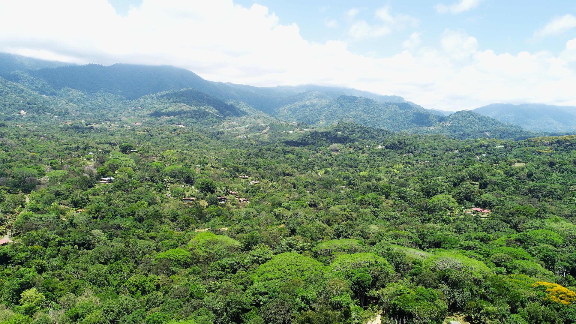 Over One Acre Attractive Lot on the Popular PEREZOSO Road.