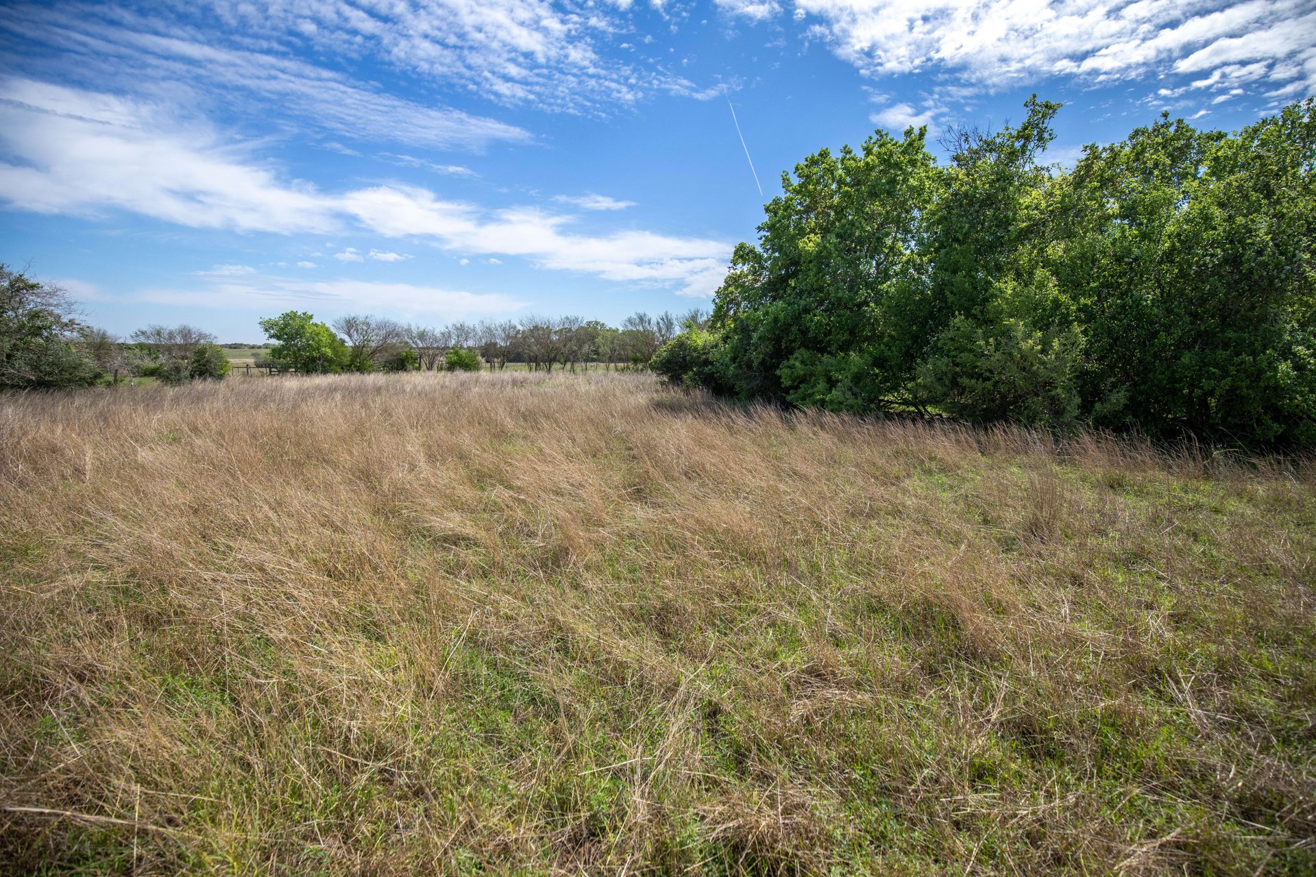 Weesatche 110 Acres