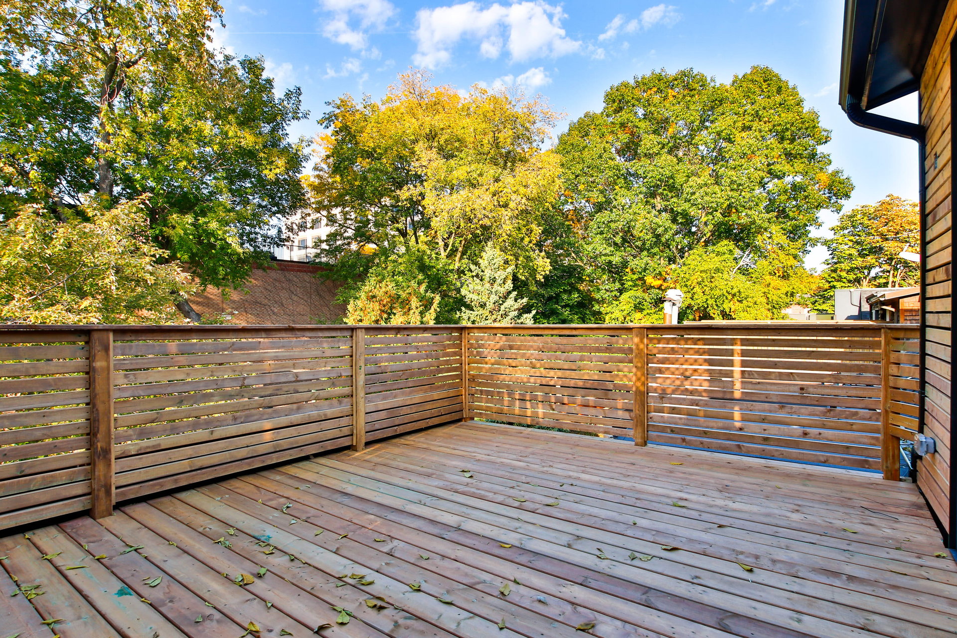 22 Webster Avenue