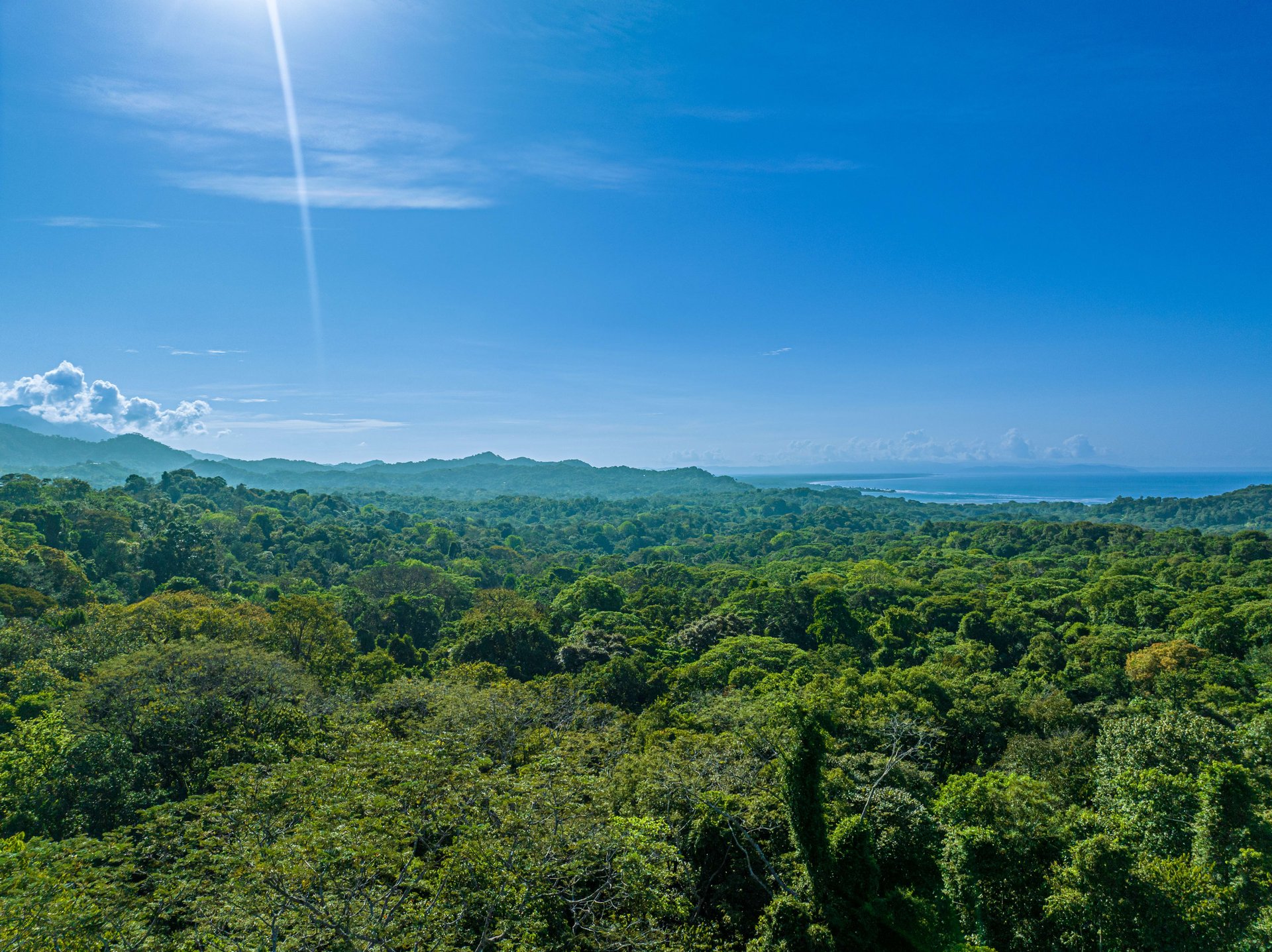 MOVE-IN READY OCEAN VIEW HOME IN CINCO VENTANAS WITH MAJESTIC RIVER ACCESS
