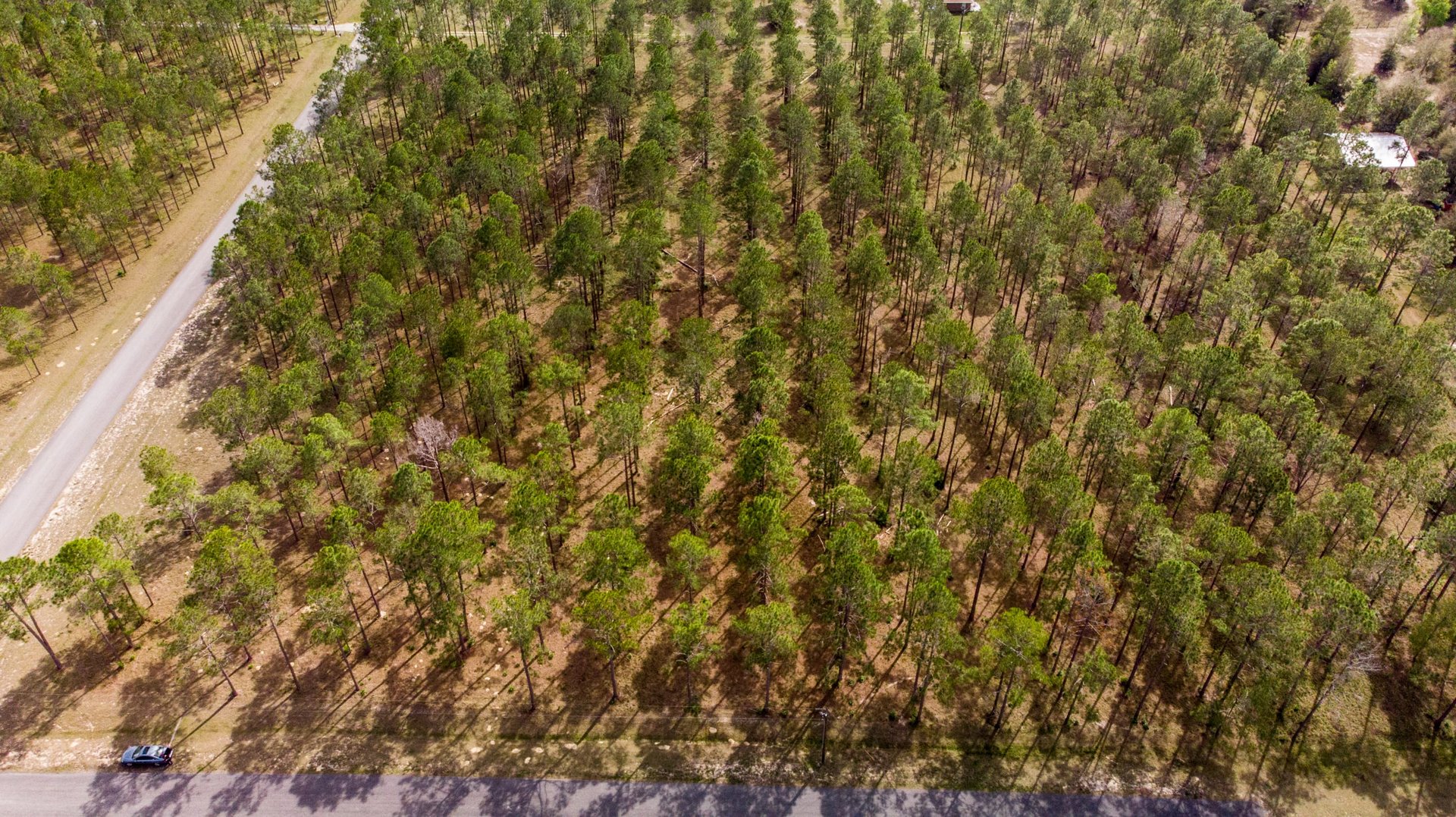 Lot 57 Pony Pond Rd