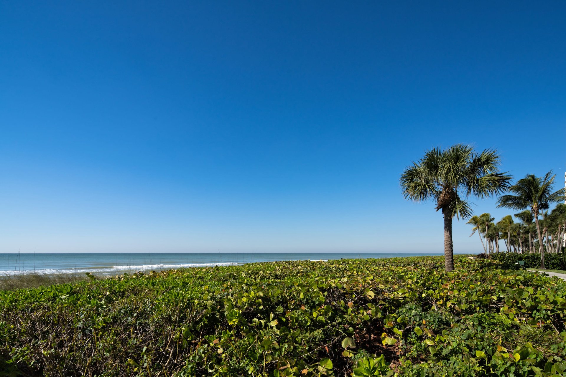 PARK SHORE