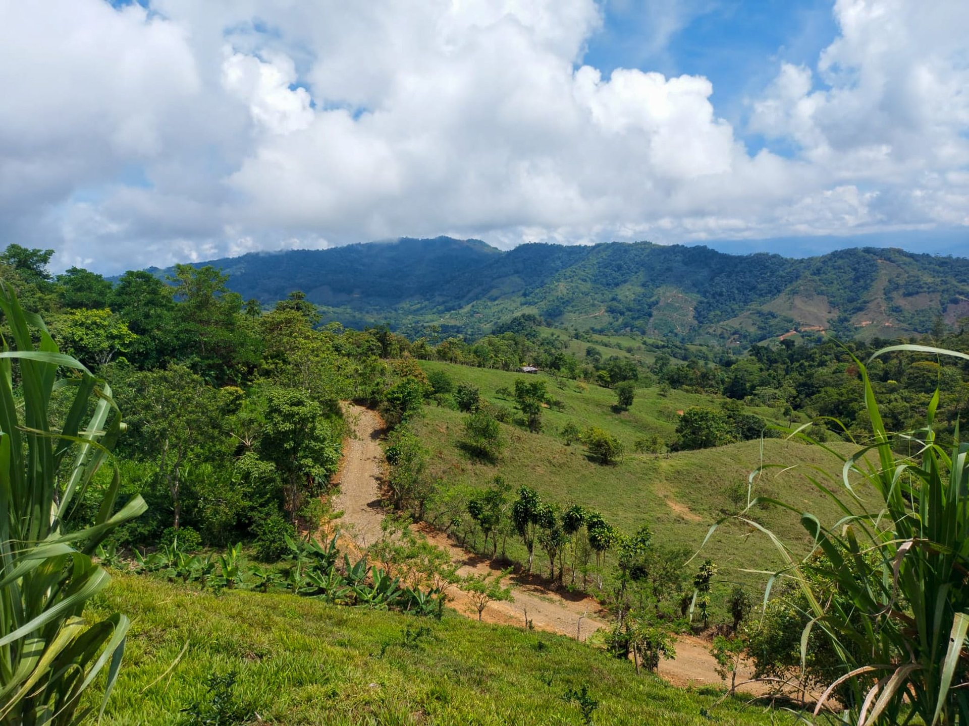 Ocean, Mountain and waterfall View Lot