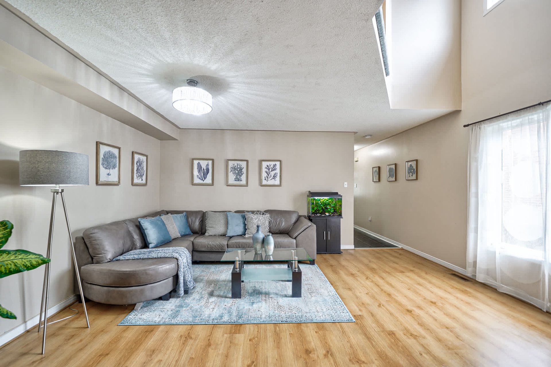 6980 Dunnview Crt