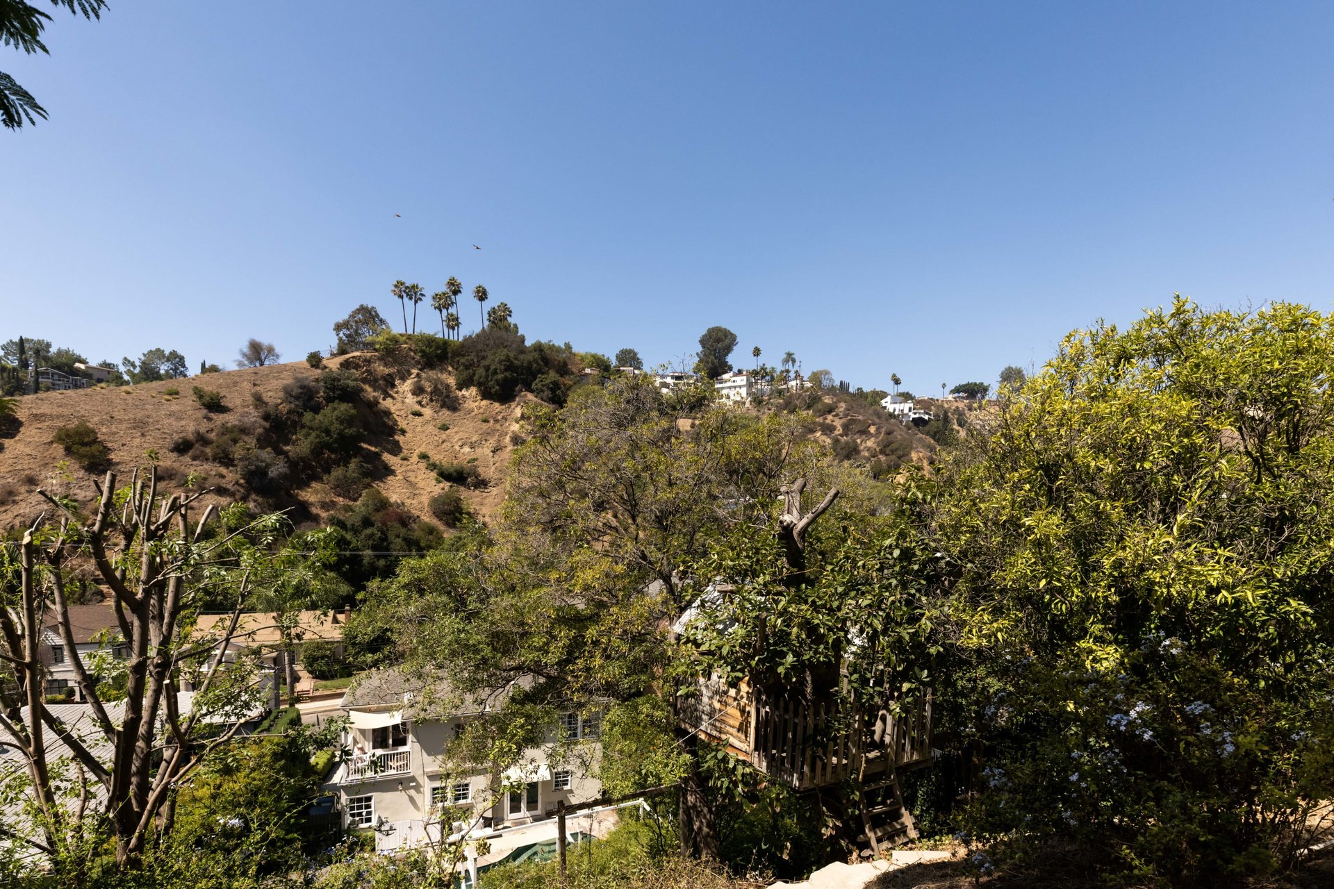 A Monterey Colonial Pool Home in Bronson Canyon