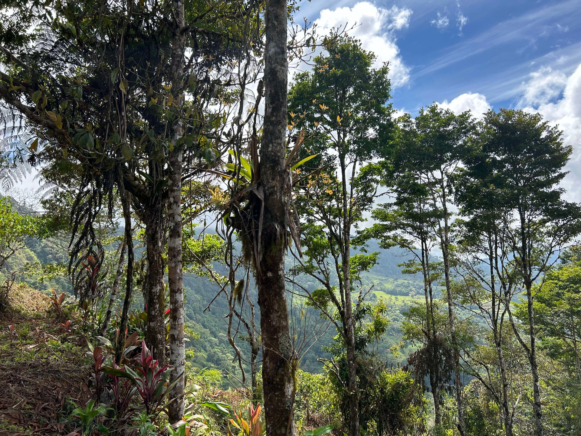 Whale Tail, Ocean & Mountain View lot in San Luis.