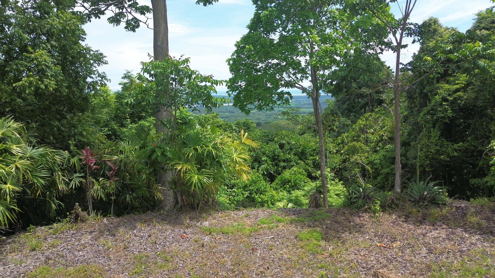 Ocean View Lot Priced to sell