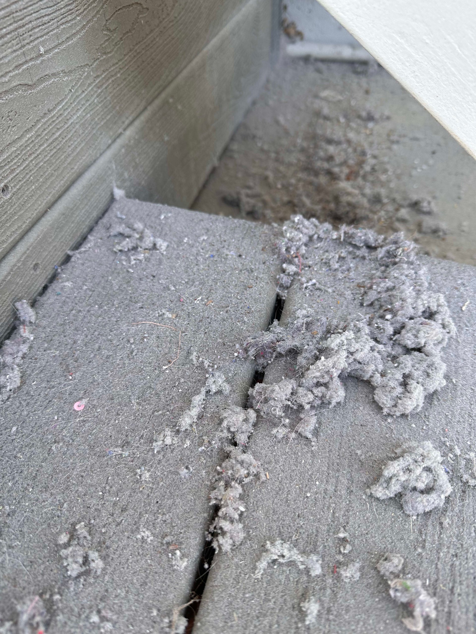 The Hidden Danger Lurking in Your Home: The Importance of Cleaning Your Dryer Vent