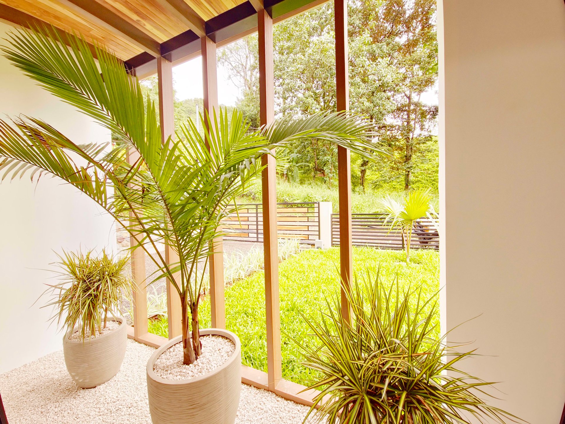 Jungle, Ocean, and exclusive elements to live in the tropics at Casa Elementum