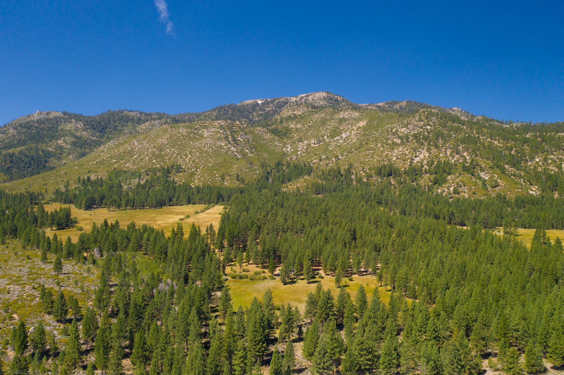 Randall Springs Ranch