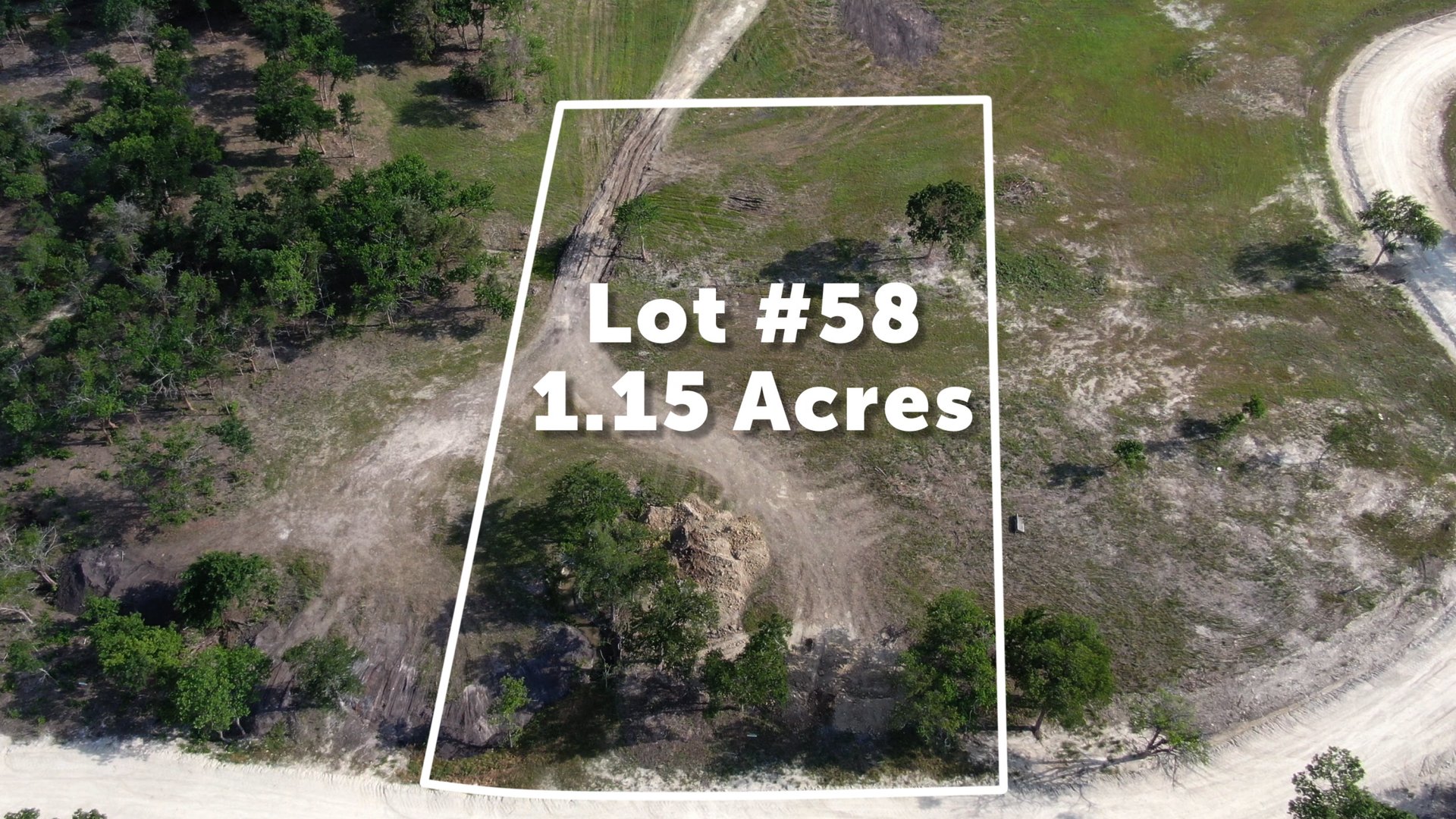 Lot 58