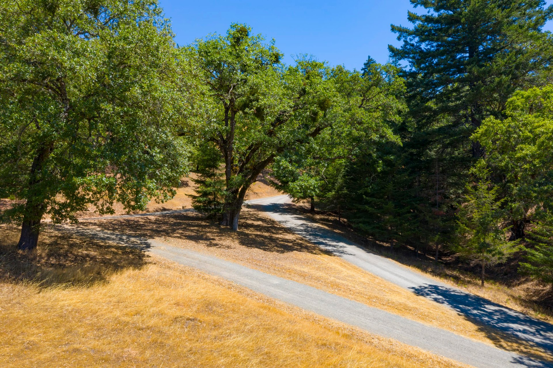 Modern Anderson Valley Enclave