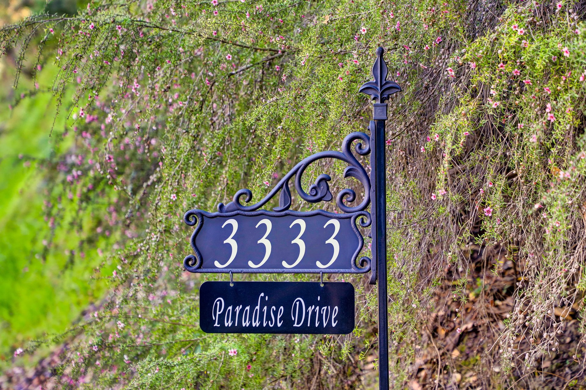 Paradise Retreat