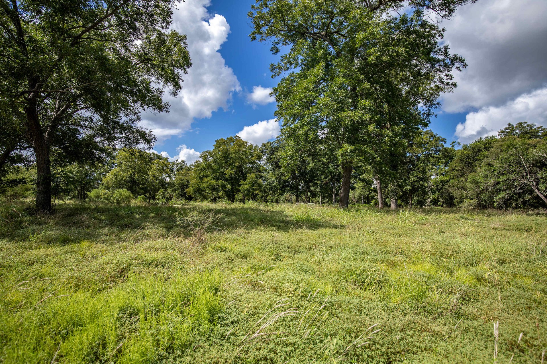 Lovers Lane River Ranch | 140± Acres | DeWitt County