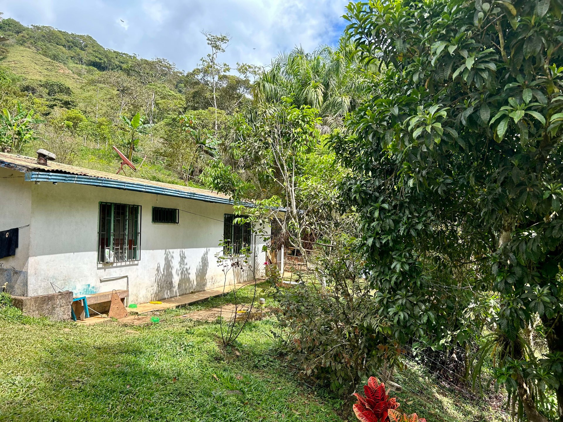 49 Acres Development Farm in San Luis with two Existing Homes 
