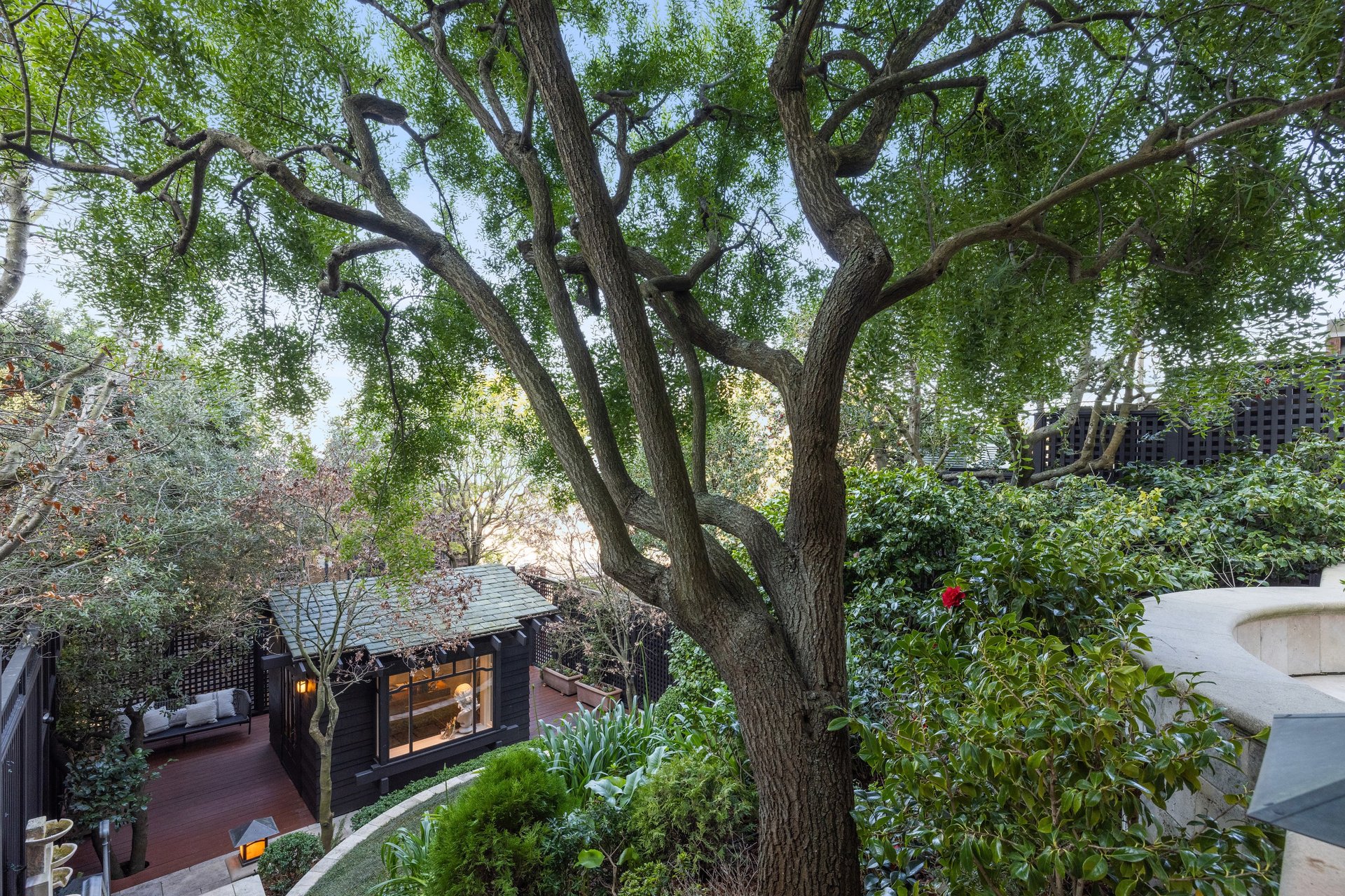 2707 Larkin St