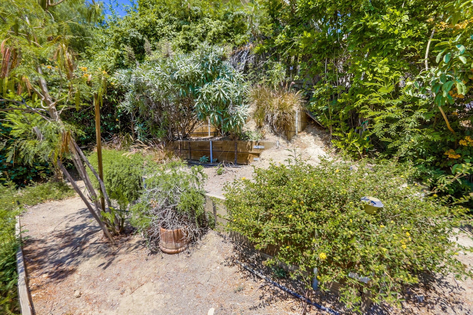 669 Romulo St