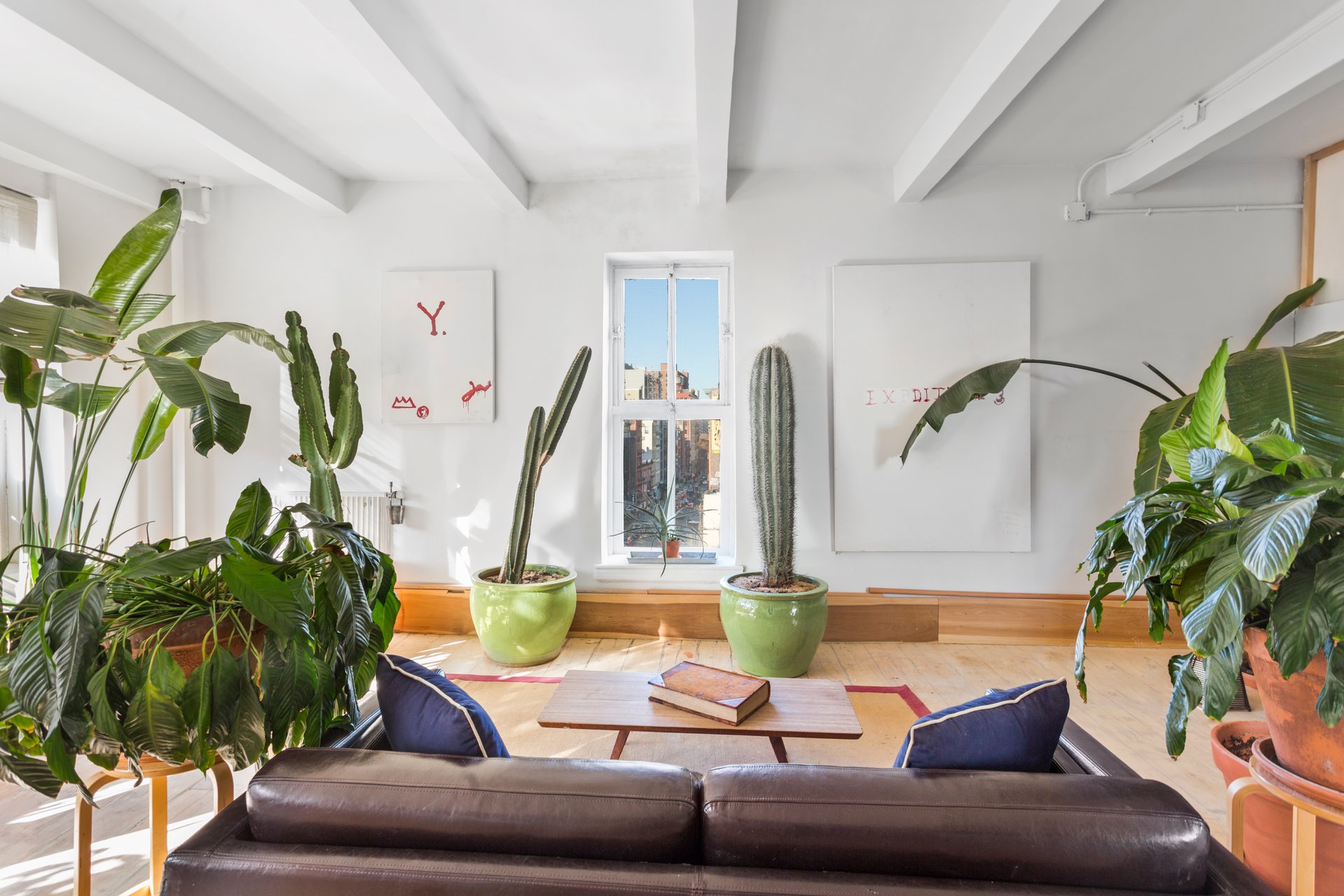Sunny Full Floor Loft