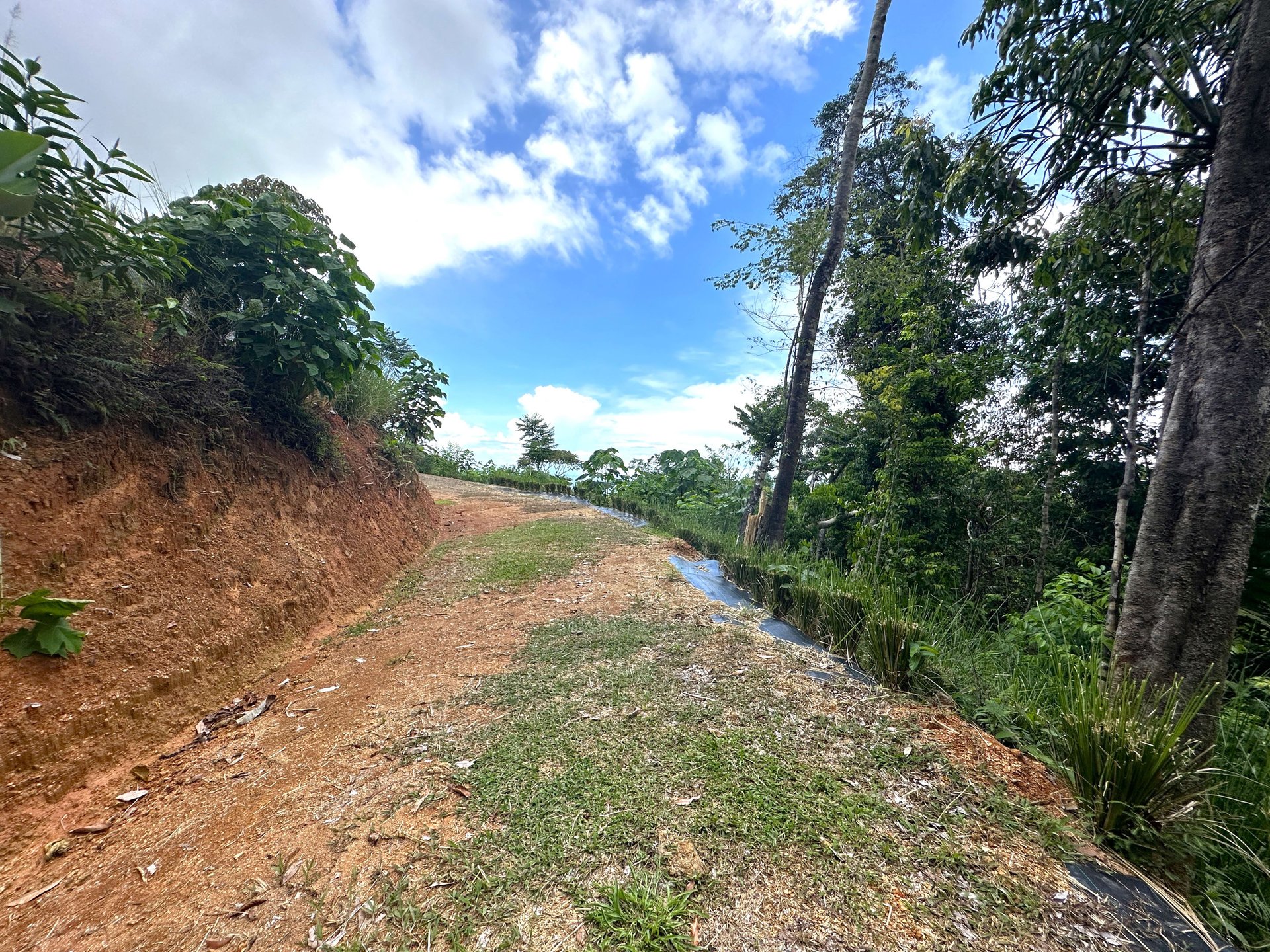 11.24 Acres With Two Stunning Ocean View Building Sites In Cinco Ventanas! Ojochal (Cinco Ventanas, Puntarenas, CR - 60504)