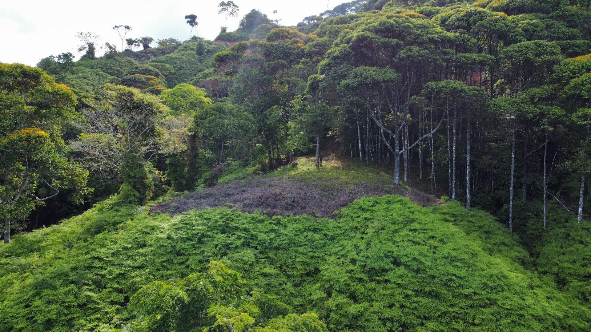 Ocean View Lots in the Exclusive Uvita Mountains. 