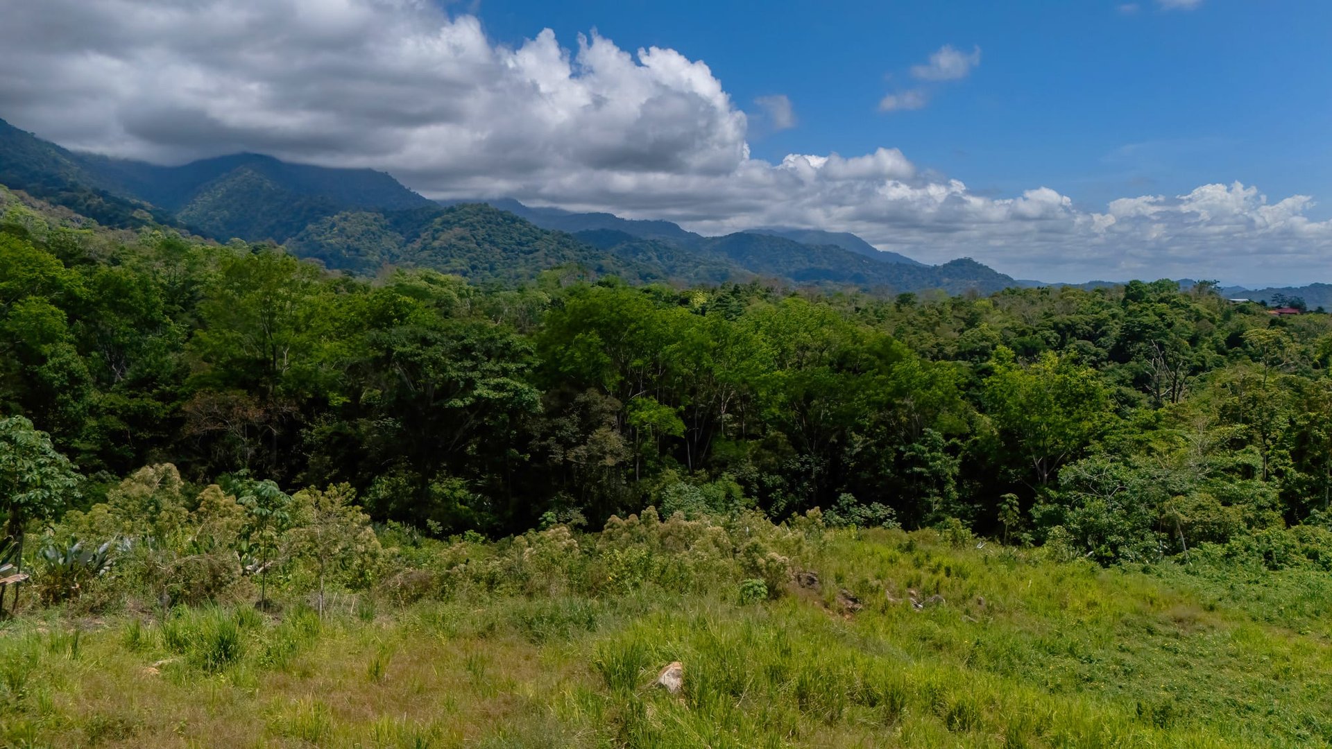 4 Acres of USABLE Land with Mountain and Ocean Views in Cinco Ventanas