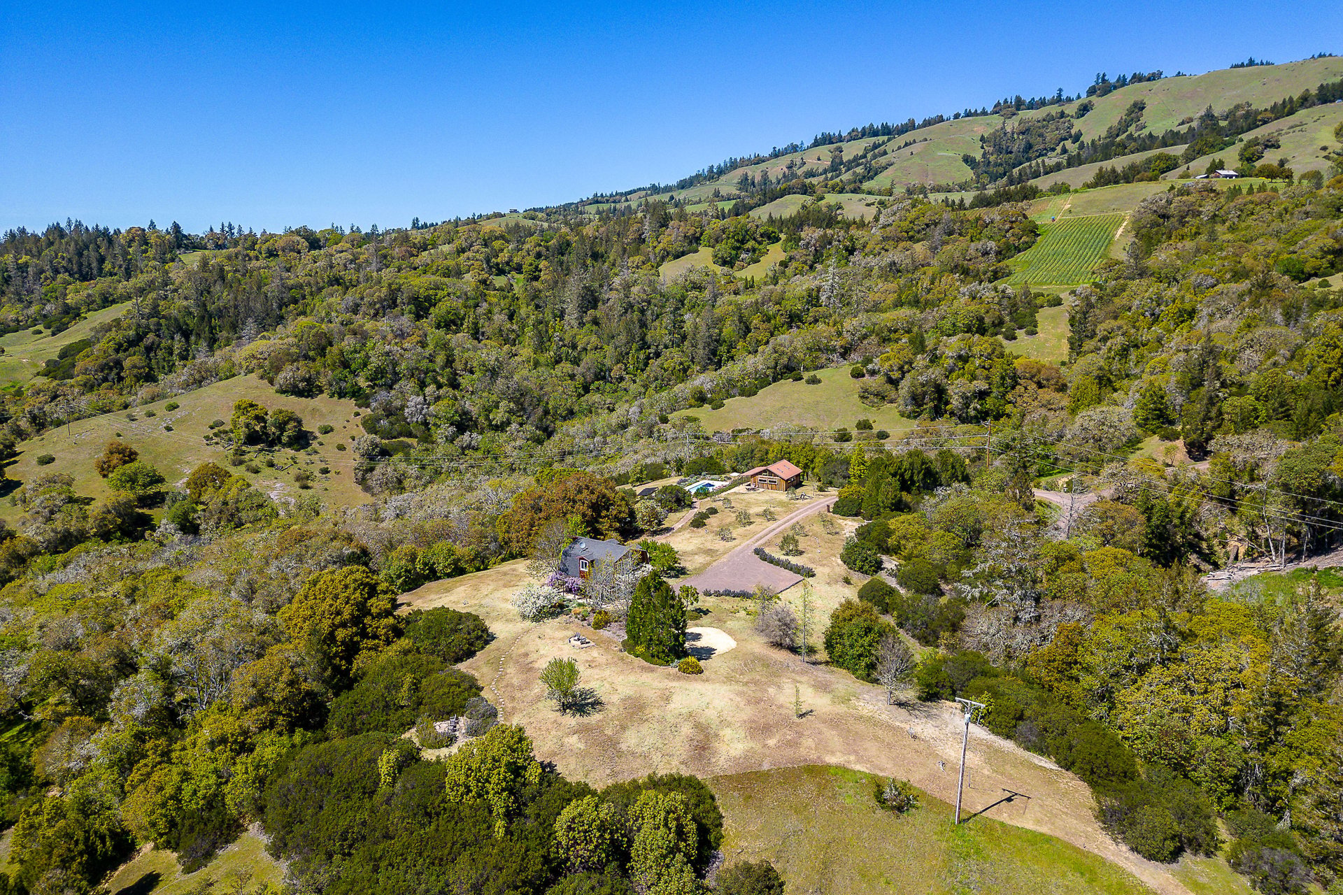 The C Ranch 