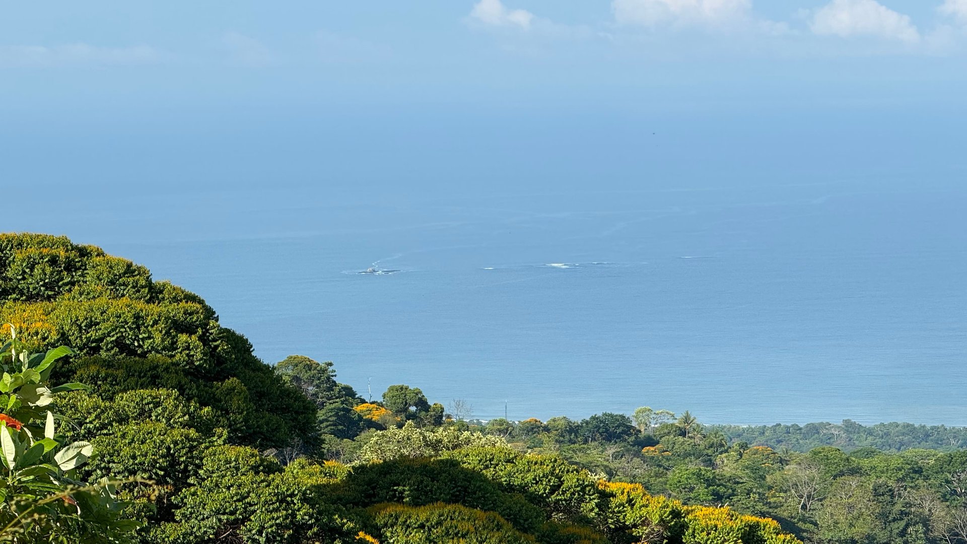 Ocean View Lots in the Exclusive Uvita Mountains. 