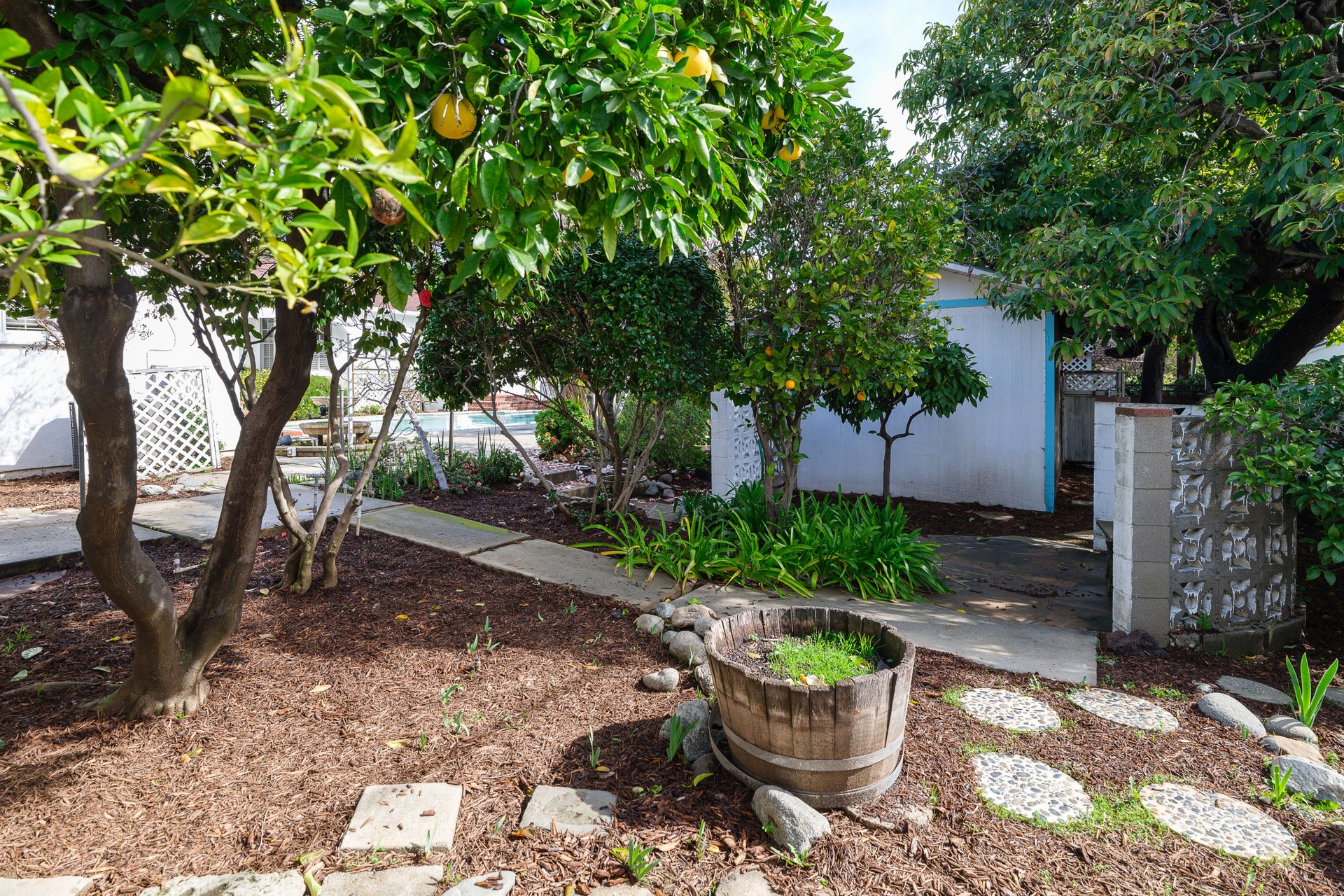 2570 Las Lunas Street