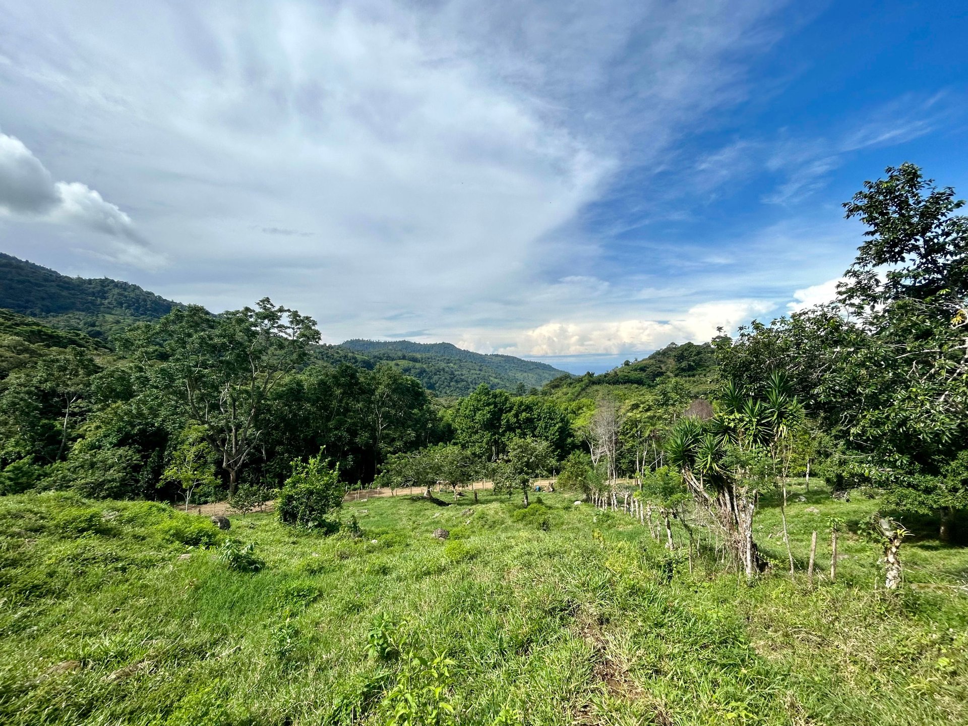 FIRE SALE!! Ocean View Farm in San Luis de Morete, Over 23 Acres
